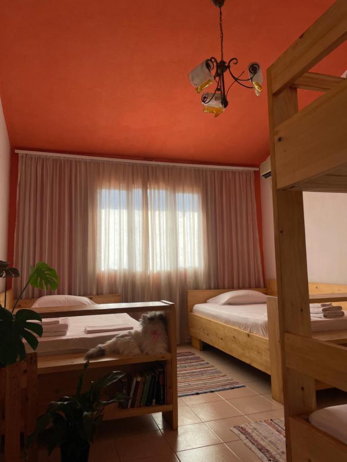 Cozy Big Apartment With Balcony Тирана Екстериор снимка