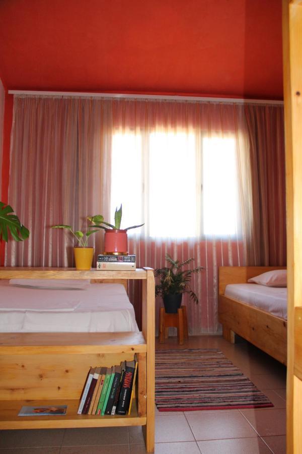 Cozy Big Apartment With Balcony Тирана Екстериор снимка